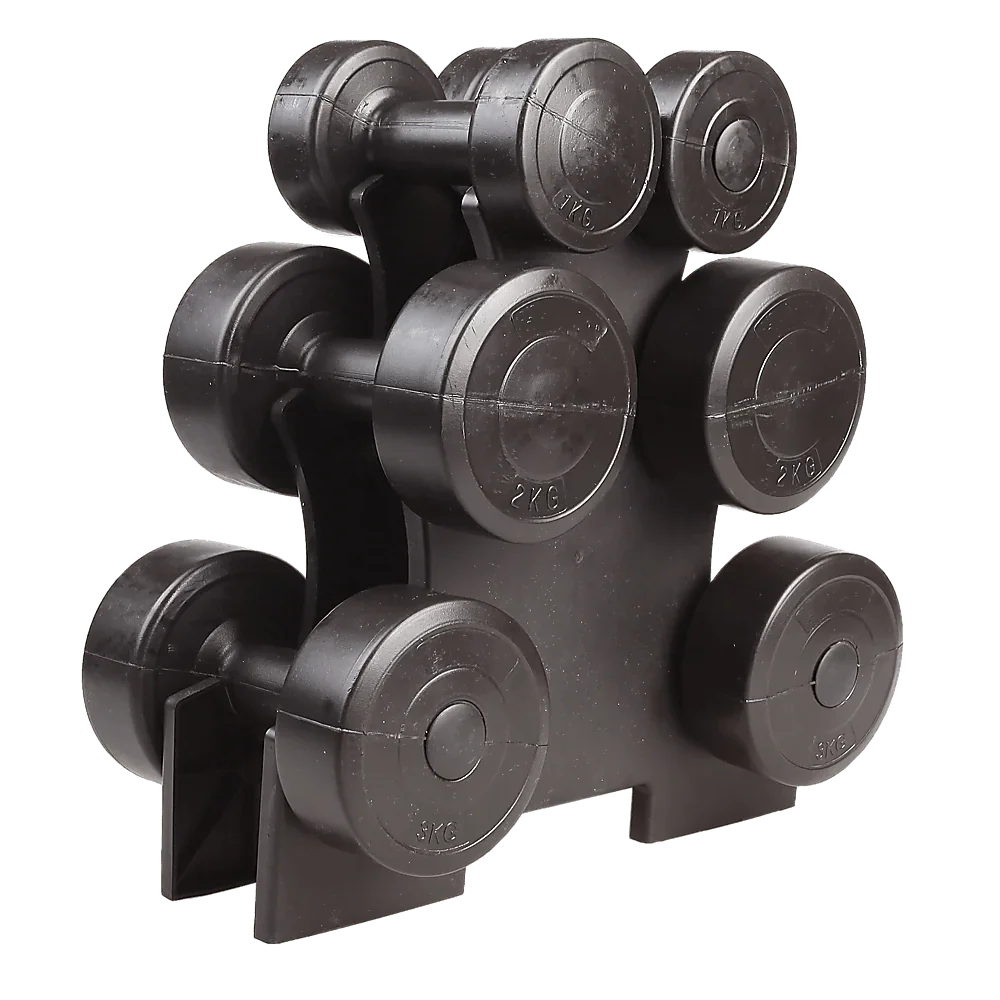 12kg Dumbbell Weights Set with Rack for Home Gym Training